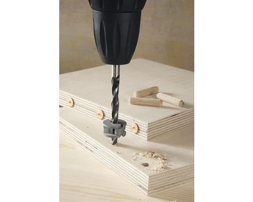 WOLFCRAFT Deuvelmarkeerpunten Ø 6 Mm, 4 Stuks 2 WOLFCRAFT Deuvelmarkeerpunten Ø 6 Mm, 4 Stuks - Afbeelding 2