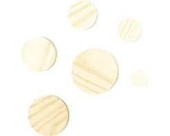 WOLFCRAFT Houten Conische Lamello Ø 30 Mm, 10 Stuks