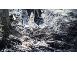 BOSCH Reciprozaagblad S 1242 KHM Expert Tough Wood -Goedkope Hornbach winkel DV 8 10400588 06 4c DE 20220506054656