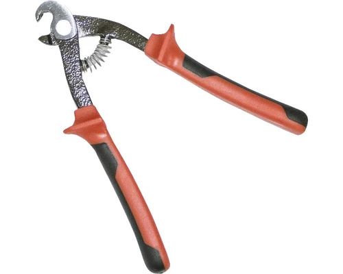 RUBI Papegaaibektang 1 RUBI Papegaaibektang