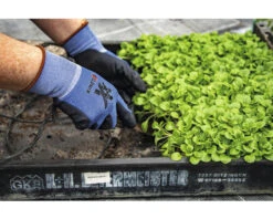 KINETIXX Tuinhandschoen X-Garden L Blauw 2 St -Goedkope Hornbach winkel DV 8 10581118 01 4c DE 20220713161759