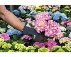 KINETIXX Tuinhandschoen X-Planter Grijs 2 St -Goedkope Hornbach winkel DV 8 10581120 02 4c DE 20220713161759