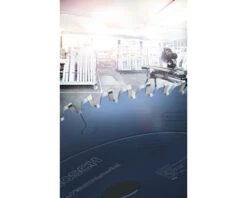 BOSCH Cirkelzaagblad Expert For MultiMaterial Ø 305x30x2,4 Mm 96T -Goedkope Hornbach winkel DV 8 10591718 04 4c NL 20220819161656