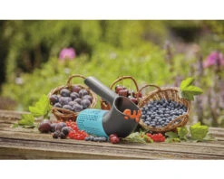 GARDENA Combisysteem Berrypicker -Goedkope Hornbach winkel DV 8 10602957 08 4c DE 20230306161658