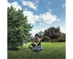 WORX Accu Grastrimmer WG163E.9 Basic -Goedkope Hornbach winkel DV 8 6338750 06 4c DE 20180824184656