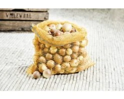 FLORASELF® Zak 50x80 Cm10 St -Goedkope Hornbach winkel DV 8 6425395 01 4c DE 20180310011659