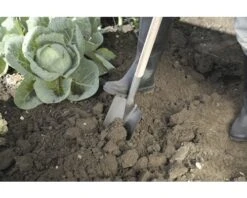 FOR_Q Spade Ronde Schacht 7 FOR_Q Spade Ronde Schacht -Goedkope Hornbach winkel DV 8 7161148 04 4c DE 20201126111752