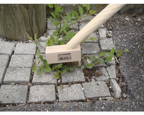 LESSMANN Onkruidborstel Met Steel 2 In 1 2 LESSMANN Onkruidborstel Met Steel 2 In 1 - Afbeelding 2